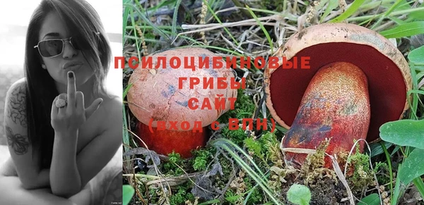 МДМА Заводоуковск